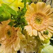 ヒメ日記 2025/04/21 11:51 投稿 ももこ WHITE ROSE～ホワイトローズ～