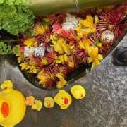 ヒメ日記 2025/05/05 13:33 投稿 ももこ WHITE ROSE～ホワイトローズ～