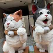 ヒメ日記 2025/05/12 20:36 投稿 ももこ WHITE ROSE～ホワイトローズ～