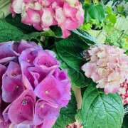 ももこ ありがとうございました WHITE ROSE～ホワイトローズ～