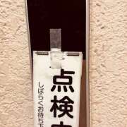 ヒメ日記 2025/06/05 10:40 投稿 ももこ WHITE ROSE～ホワイトローズ～