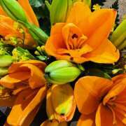 ヒメ日記 2025/06/08 10:26 投稿 ももこ WHITE ROSE～ホワイトローズ～