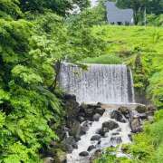 ヒメ日記 2025/06/13 13:54 投稿 ももこ WHITE ROSE～ホワイトローズ～