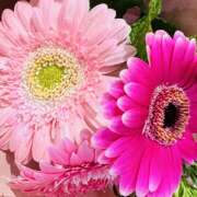 ヒメ日記 2025/06/22 10:02 投稿 ももこ WHITE ROSE～ホワイトローズ～