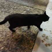 ヒメ日記 2025/07/05 09:49 投稿 ももこ WHITE ROSE～ホワイトローズ～