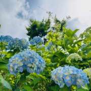 ヒメ日記 2025/07/07 19:32 投稿 ももこ WHITE ROSE～ホワイトローズ～