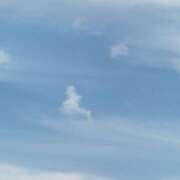 ヒメ日記 2025/07/20 17:26 投稿 ももこ WHITE ROSE～ホワイトローズ～