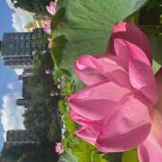 ヒメ日記 2025/07/31 15:29 投稿 ももこ WHITE ROSE～ホワイトローズ～