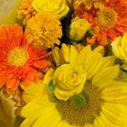 ヒメ日記 2025/08/01 09:05 投稿 ももこ WHITE ROSE～ホワイトローズ～