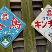 ヒメ日記 2025/08/20 11:43 投稿 ももこ WHITE ROSE～ホワイトローズ～