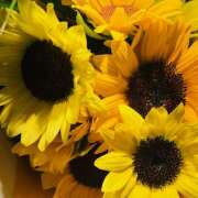 ヒメ日記 2025/08/26 12:36 投稿 ももこ WHITE ROSE～ホワイトローズ～