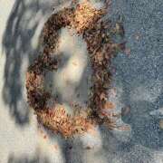 ヒメ日記 2025/09/08 14:28 投稿 ももこ WHITE ROSE～ホワイトローズ～