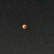 ヒメ日記 2025/09/08 14:57 投稿 ももこ WHITE ROSE～ホワイトローズ～