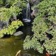 ヒメ日記 2025/09/22 09:29 投稿 ももこ WHITE ROSE～ホワイトローズ～