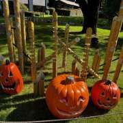 ヒメ日記 2025/10/18 03:48 投稿 ももこ WHITE ROSE～ホワイトローズ～