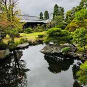 ヒメ日記 2025/10/19 14:16 投稿 ももこ WHITE ROSE～ホワイトローズ～