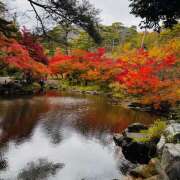 ヒメ日記 2025/11/13 11:25 投稿 ももこ WHITE ROSE～ホワイトローズ～