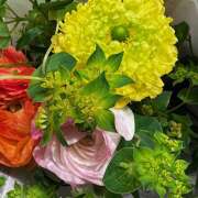 ヒメ日記 2025/11/27 18:46 投稿 ももこ WHITE ROSE～ホワイトローズ～