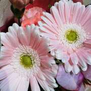 ヒメ日記 2025/12/18 19:49 投稿 ももこ WHITE ROSE～ホワイトローズ～