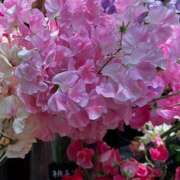 ヒメ日記 2026/02/05 13:02 投稿 ももこ WHITE ROSE～ホワイトローズ～