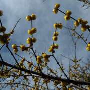 ヒメ日記 2026/02/27 19:39 投稿 ももこ WHITE ROSE～ホワイトローズ～