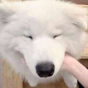 ヒメ日記 2025/03/21 22:00 投稿 しおり 素人系イメージSOAP彼女感大宮館