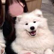 ヒメ日記 2025/03/29 20:00 投稿 しおり 素人系イメージSOAP彼女感大宮館