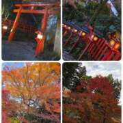 ヒメ日記 2025/11/21 09:06 投稿 愛内わか ミセス大阪十三店