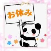 ヒメ日記 2026/03/29 08:13 投稿 愛内わか ミセス大阪十三店