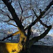 ヒメ日記 2025/04/06 02:58 投稿 そら ぽちゃぶらんか金沢店（カサブランカグループ）