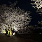 ヒメ日記 2025/04/17 06:44 投稿 そら ぽちゃぶらんか金沢店（カサブランカグループ）