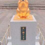 ヒメ日記 2025/05/03 10:26 投稿 そら ぽちゃぶらんか金沢店（カサブランカグループ）