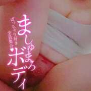 ヒメ日記 2025/11/24 14:40 投稿 そら ぽちゃぶらんか金沢店（カサブランカグループ）