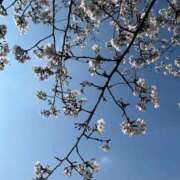 ヒメ日記 2026/03/28 18:46 投稿 麻耶(まや) グランドオペラ東京
