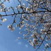ヒメ日記 2026/03/30 08:46 投稿 麻耶(まや) グランドオペラ東京