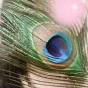 ヒメ日記 2025/03/13 00:00 投稿 埼玉イチロ 千葉★出張マッサージ委員会Z