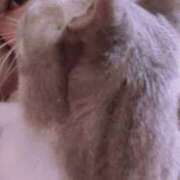 ヒメ日記 2026/01/04 01:57 投稿 青山 変態美熟女お貸しします。