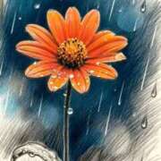 ヒメ日記 2026/01/28 01:27 投稿 青山 変態美熟女お貸しします。