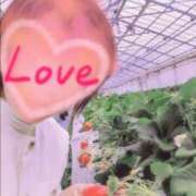 ヒメ日記 2026/03/03 21:32 投稿 青山 変態美熟女お貸しします。