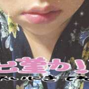 ヒメ日記 2025/08/30 10:06 投稿 みずき 石川金沢ちゃんこ