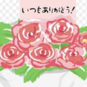 ヒメ日記 2026/03/14 18:59 投稿 橋本えりか こあくまな熟女たち三河店（KOAKUMAグループ）
