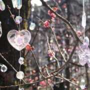 ヒメ日記 2026/03/21 23:07 投稿 橋本えりか こあくまな熟女たち三河店（KOAKUMAグループ）