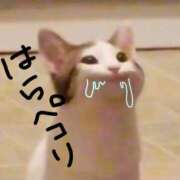 ヒメ日記 2025/04/21 19:38 投稿 あめ エデン