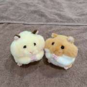 ヒメ日記 2025/05/14 09:24 投稿 あめ エデン