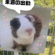 あめ 来週のシフト📝 エデン