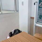 ヒメ日記 2026/02/20 15:51 投稿 あめ エデン