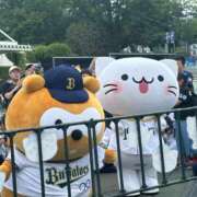 ヒメ日記 2025/05/20 12:16 投稿 ちなみ 桃色クリスタル