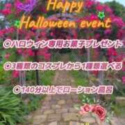 ヒメ日記 2025/10/31 07:40 投稿 ドミンゴ 鶯谷デッドボール