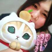 ドミンゴ 年の瀬はドミンゴととろんとろんな時間過ごしてね♡ 鶯谷デッドボール