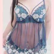 ヒメ日記 2026/01/28 08:36 投稿 向井しおり セレブ嬉野